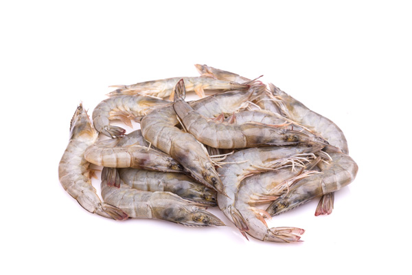 shrimp-lakewood-wa
